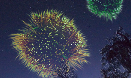 Fireworks